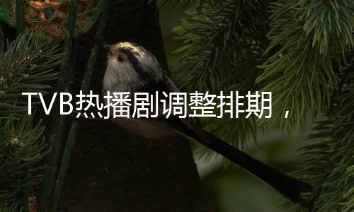 TVB熱播劇調(diào)整排期，哪吒1成焦點(diǎn)，三部大熱劇集暫時(shí)停播