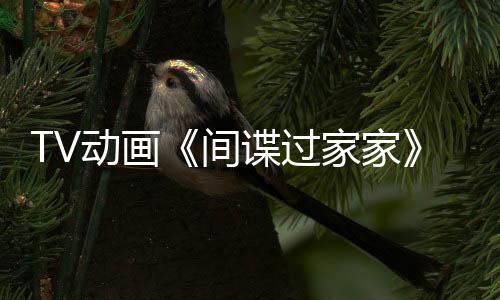 TV動畫《間諜過家家》第三季將于2025年10月開播
