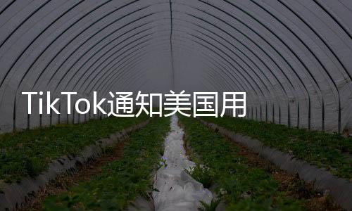 TikTok通知美國用戶將暫停服務(wù)，一項(xiàng)決策的背后及其深遠(yuǎn)影響分析