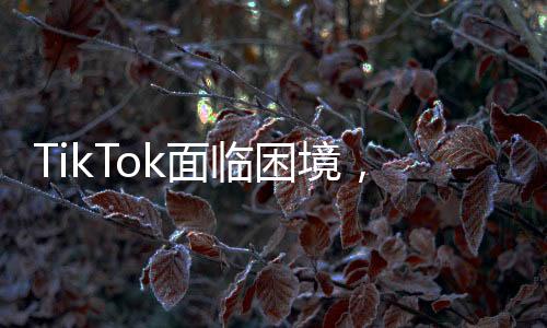 TikTok面臨困境，白宮無(wú)保證，平臺(tái)只能關(guān)閉——一場(chǎng)沒(méi)有贏家的博弈