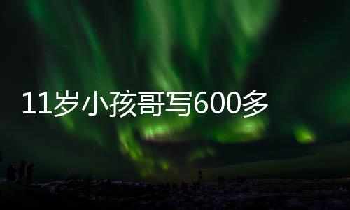 11歲小孩哥寫600多行代碼造火箭火了：自學(xué)編程、物理化學(xué)