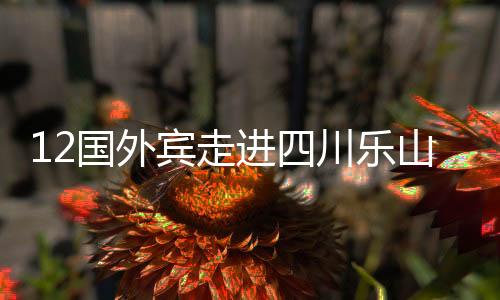 12國外賓走進四川樂山 共話友誼和發(fā)展