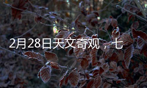 2月28日天文奇觀，七星連珠震撼上演