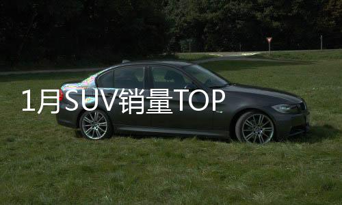 1月SUV銷量TOP 10，熱門車型競相輝映，自主品牌嶄露頭角