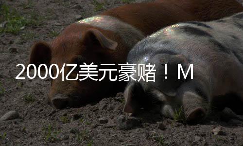 2000億美元豪賭！Meta正在商討建設(shè)人工智能數(shù)據(jù)中心