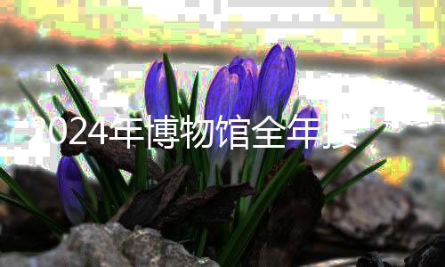 2024年博物館全年接待觀眾超14億人次 你去逛館了嗎？