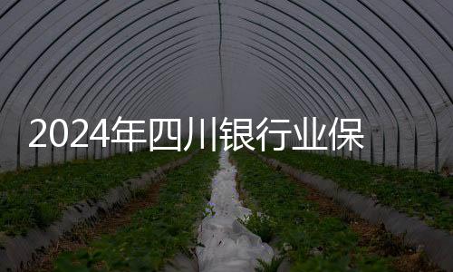 2024年四川銀行業(yè)保險(xiǎn)業(yè)運(yùn)行平穩(wěn) 四項(xiàng)指標(biāo)均居西部第一