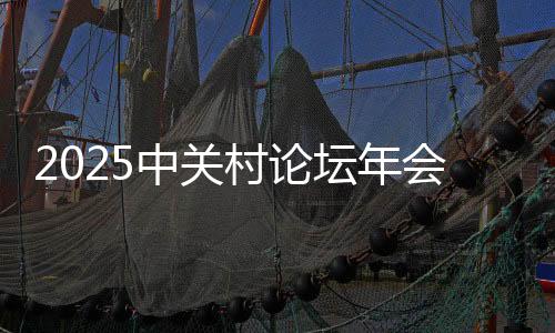 2025中關(guān)村論壇年會發(fā)布19項重大成果