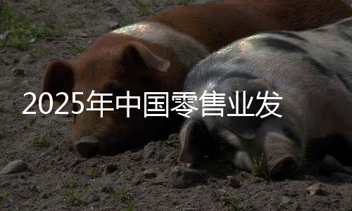 2025年中國(guó)零售業(yè)發(fā)展趨勢(shì)展望：銀發(fā)經(jīng)濟(jì)、體驗(yàn)經(jīng)濟(jì)將成價(jià)值創(chuàng)造點(diǎn)