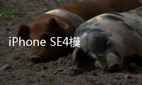 iPhone SE4模型機(jī)上手展示