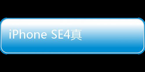 iPhone SE4真機(jī)上手照曝光，深度體驗(yàn)全新蘋果經(jīng)濟(jì)型手機(jī)的魅力