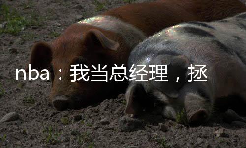 nba：我當(dāng)總經(jīng)理，拯救湖人