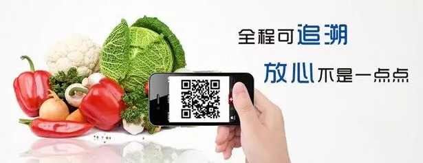 二維碼食品追溯“互聯(lián)網+食品”背后的“馬太效應”